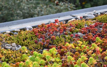 the cost of Llangoed green roof installation