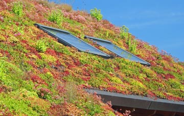 Llangoed living roof systems
