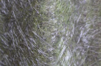 Llangoed fibreglass roof work